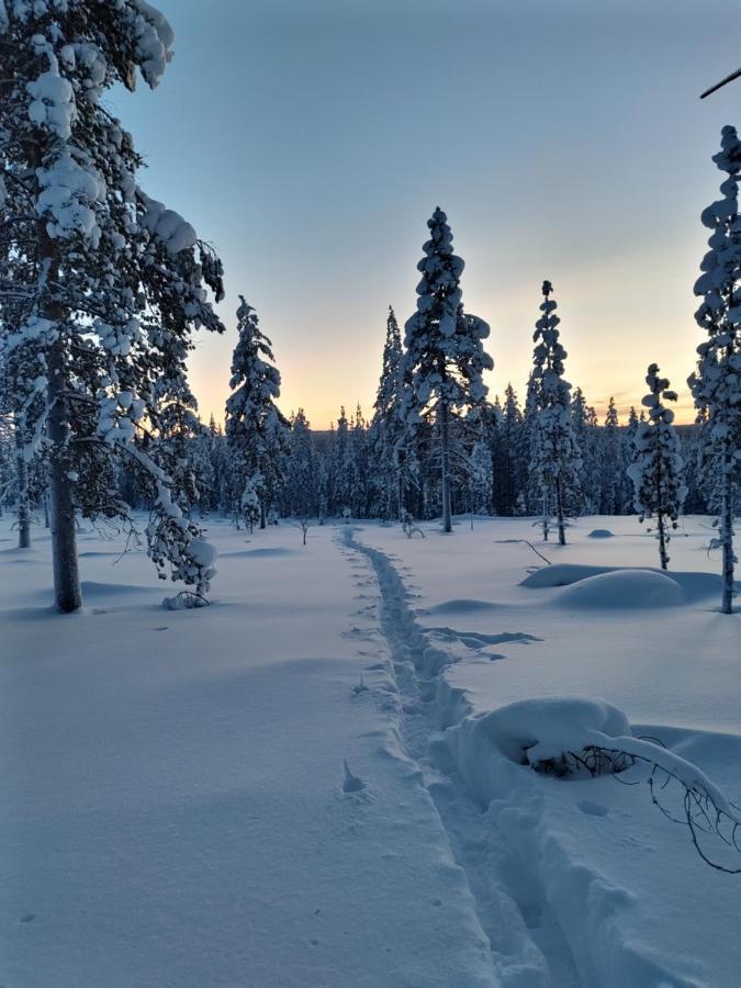 Villanorva Saarenkylä Eksteriør bilde