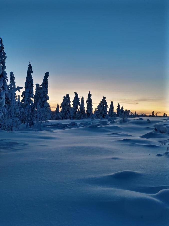Villanorva Saarenkylä Eksteriør bilde